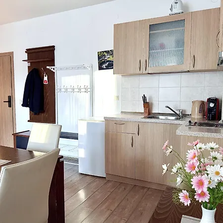 607 Stream Panoramic With Free Parking And Apartment Pamporovo